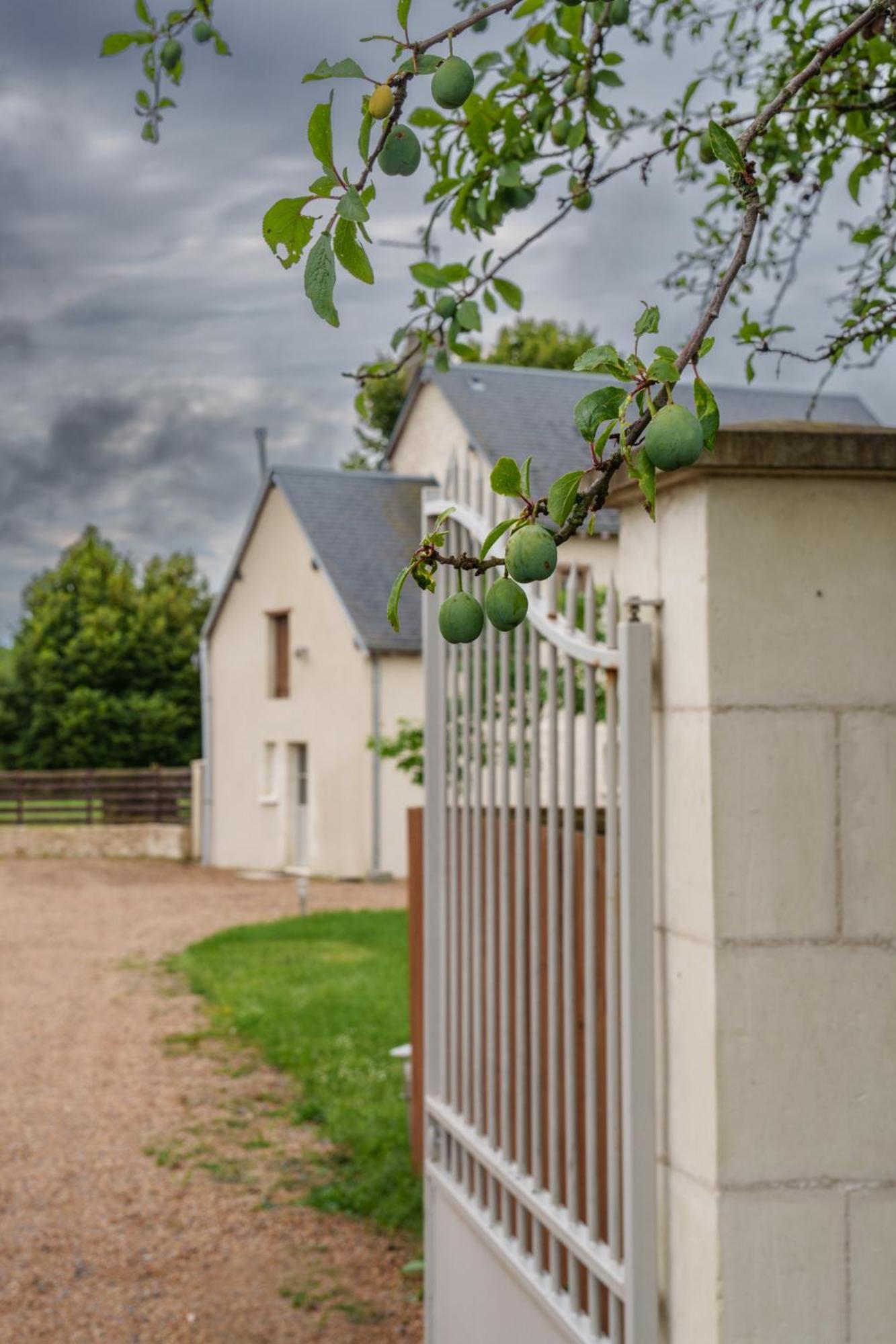 Maison Campagne Proche Tours Et Loches 6 Personnes Saint-Branchs Eksteriør bilde