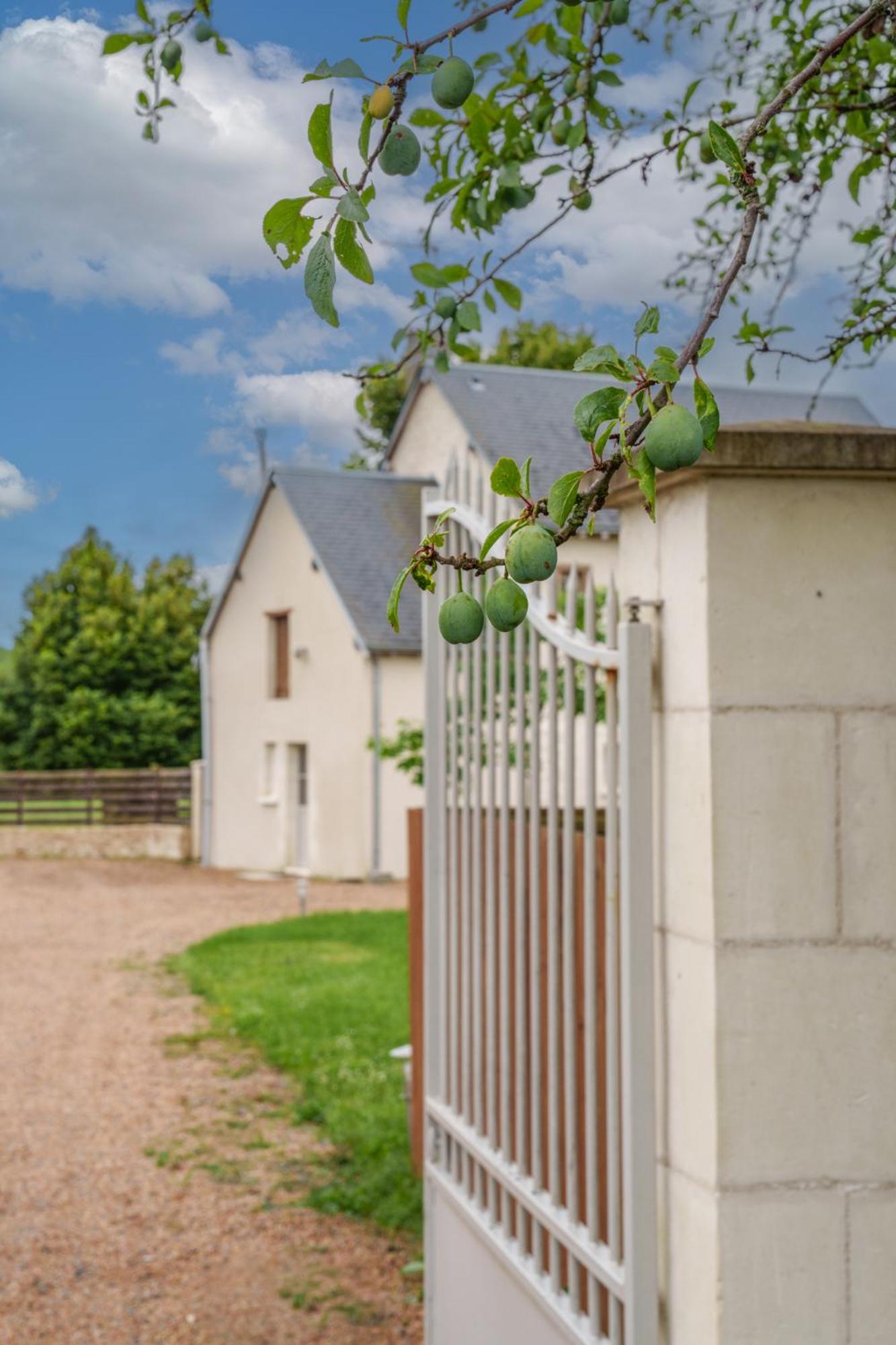 Maison Campagne Proche Tours Et Loches 6 Personnes Saint-Branchs Eksteriør bilde
